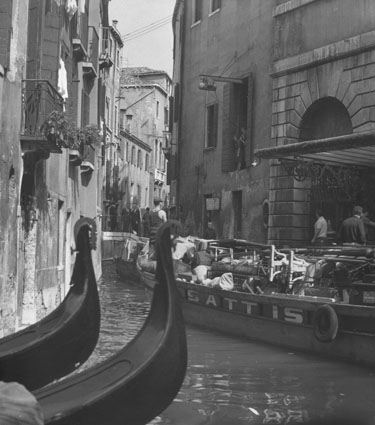 La Fenice Venedig